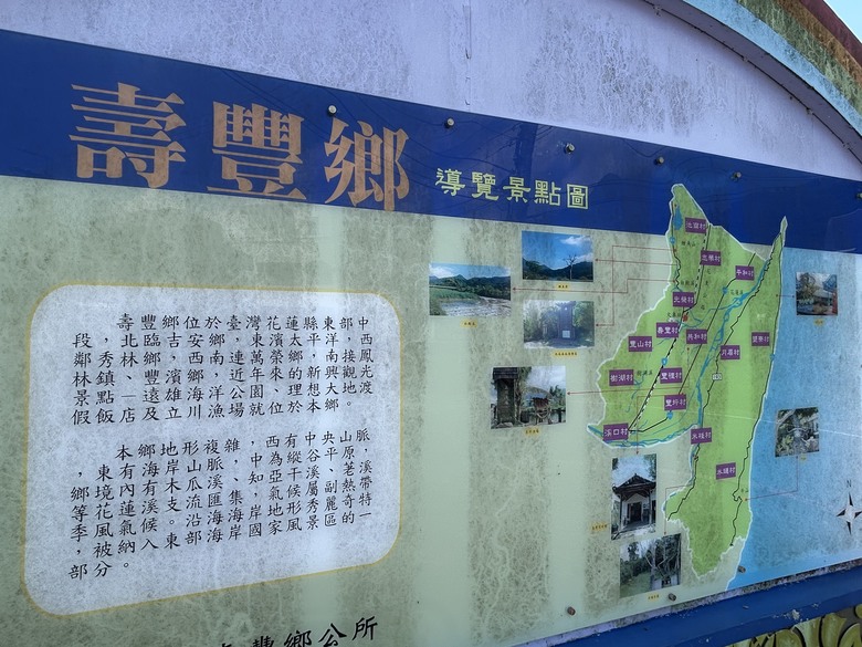 騎車摸蜆趣-花蓮壽豐落羽松秘境