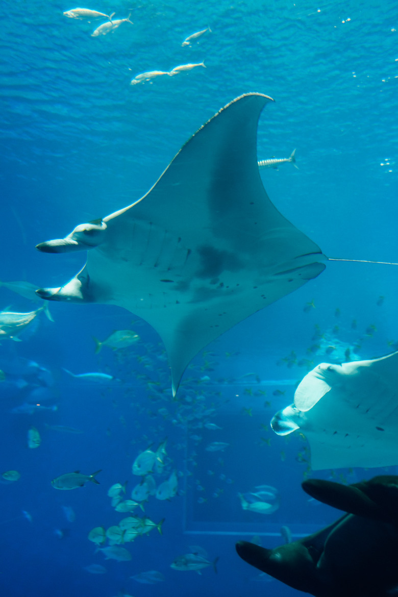 2025 沖繩耶誕之旅