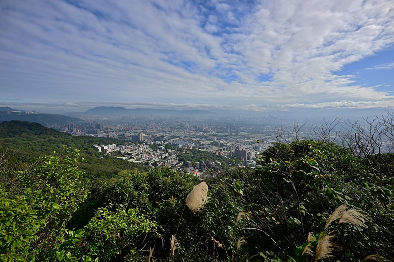 走讀微笑山線:自然與人文的交響曲 | 13.9km 4h33m | 大同山櫻花林、青龍嶺、三角埔頂山、大棟山、山佳車站