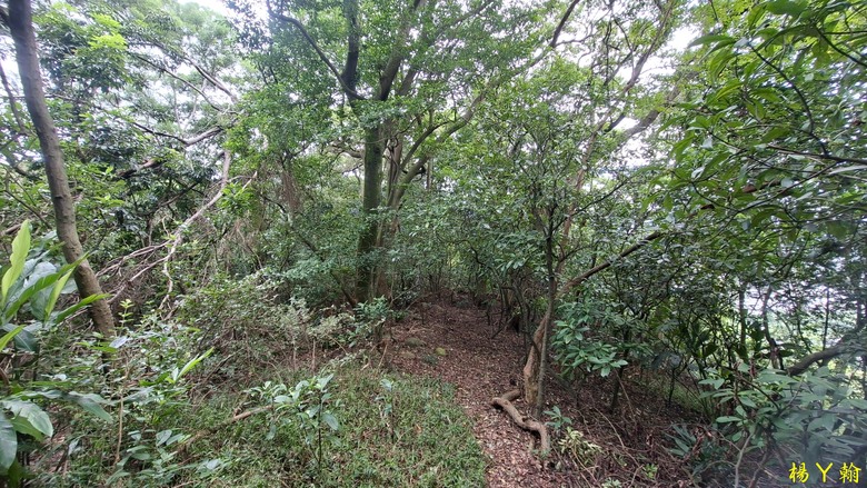 【郊山走走】尖凍山、瓊子湖山、山腳頂山 輕鬆走