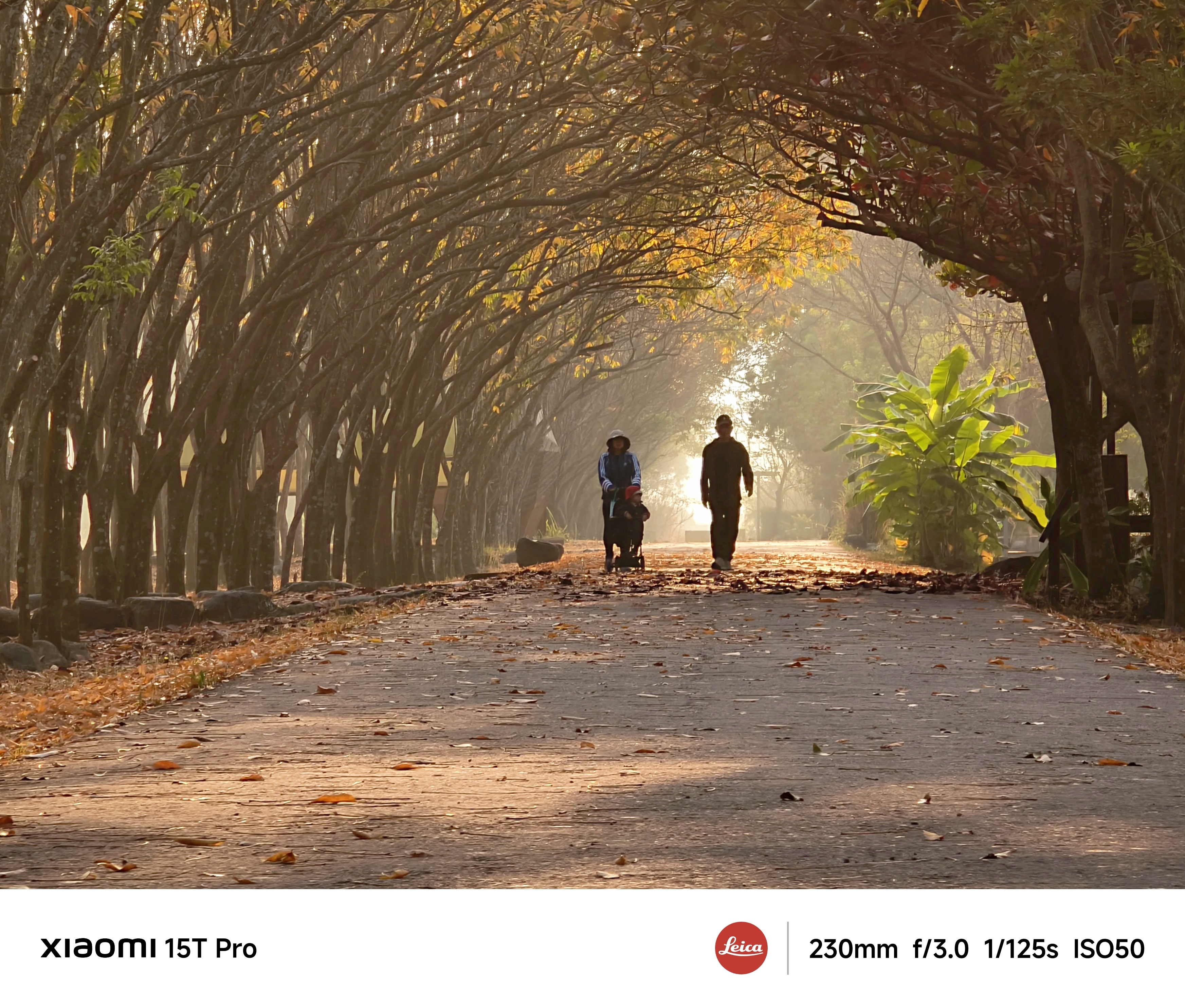 帶著小米15T PRO去公園 │林後四林平地森林晨運