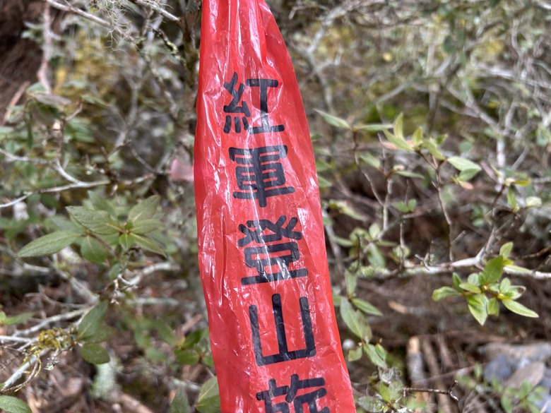 比玉山前峰還難爬的「南橫溪頭山」