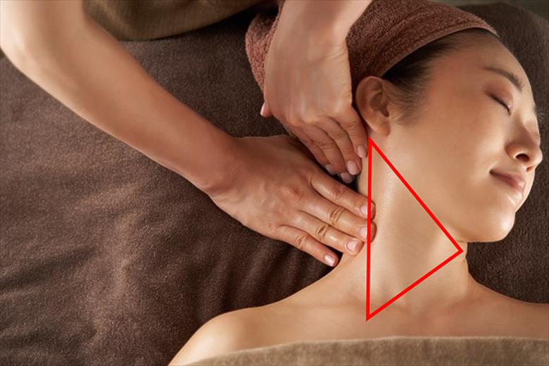 這樣按摩小心腦中風!頸動脈超音波找出你的健康風險