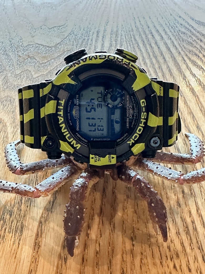 —來自南美洲雨林的靈感—FROGMAN系列GW-8200TPF-1 迷彩蛙人開箱