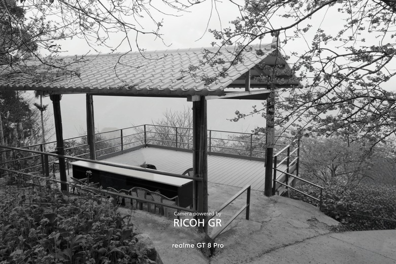 感受一下櫻花盛開的香味與視覺美。