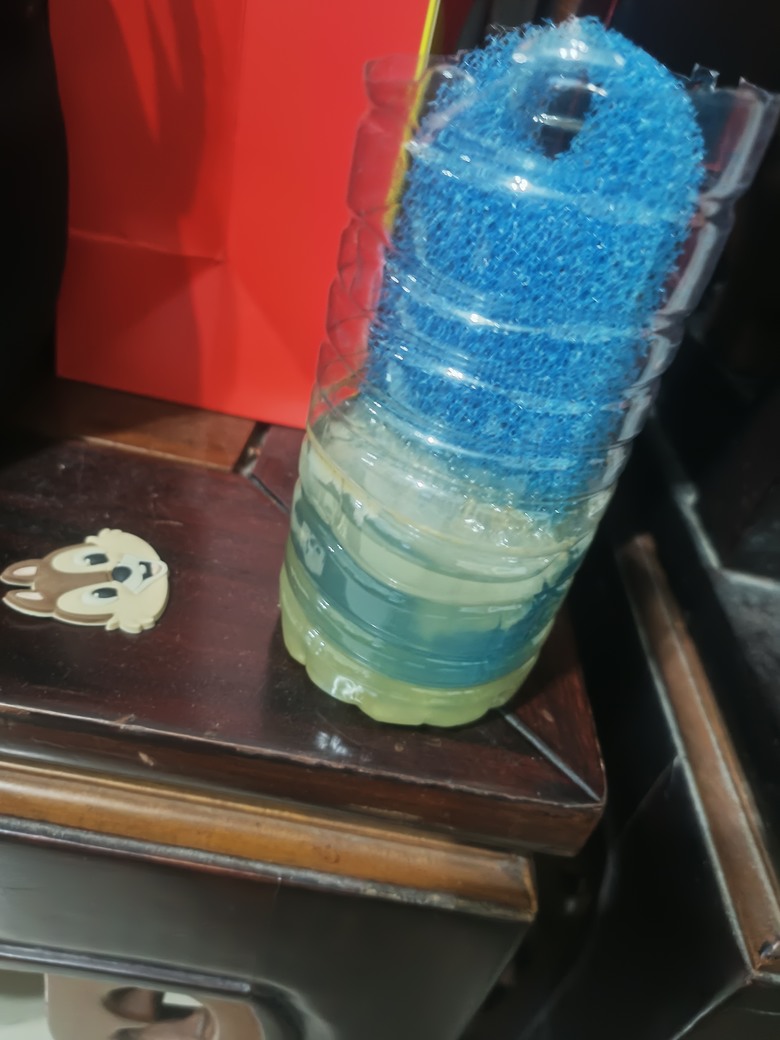 培養硝化菌成功了嗎？