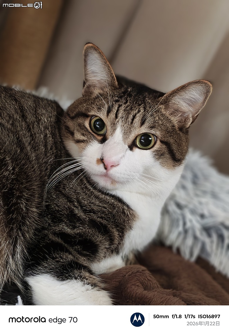 motorola edge 70 體驗｜AI 功能全面，5.99mm 超薄的中階美型之選