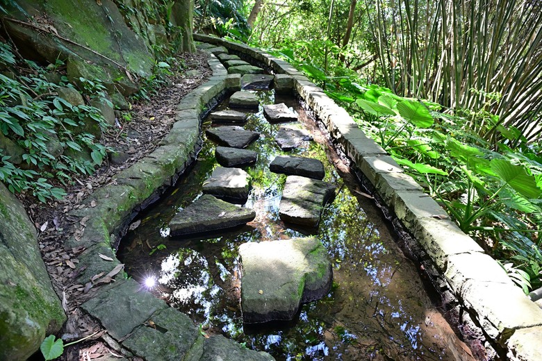 櫻花尚未綻放，古圳低語依舊：台北的山林散步 | 13.15km、4h08m