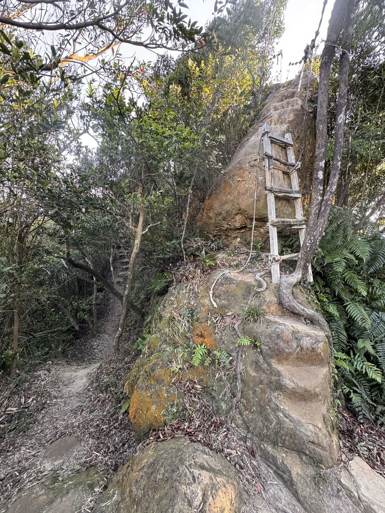 來去家裡附近郊山走一圈 #水尾潭山-#老鷲尖山-#老鷲尖南峰-#汐止鷹石尖-#內溝山-內溝生態館O型