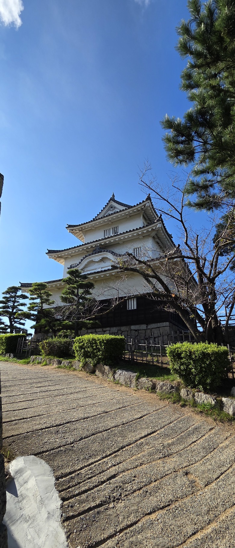【遊記】2025二週日本遊:中國|四國|關西 - 前篇