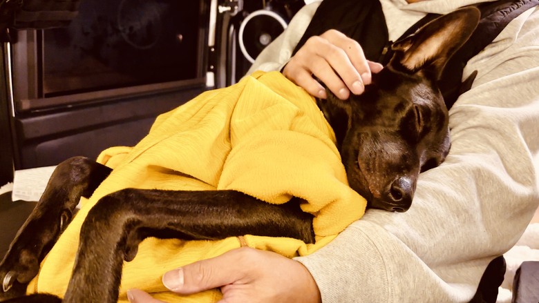 A180 vs J Space改裝露營車怎麼選