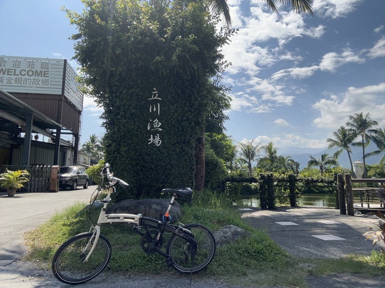 騎車摸蜆趣-花蓮壽豐落羽松秘境
