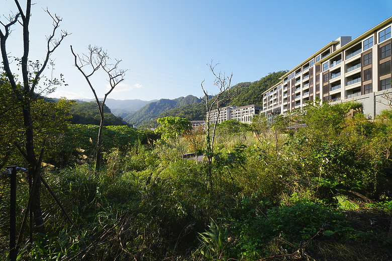 Laowa 12mm f/2.8 Lite Zero-D FF AF 評測報告｜377g 輕量超廣角、零畸變新篇章！