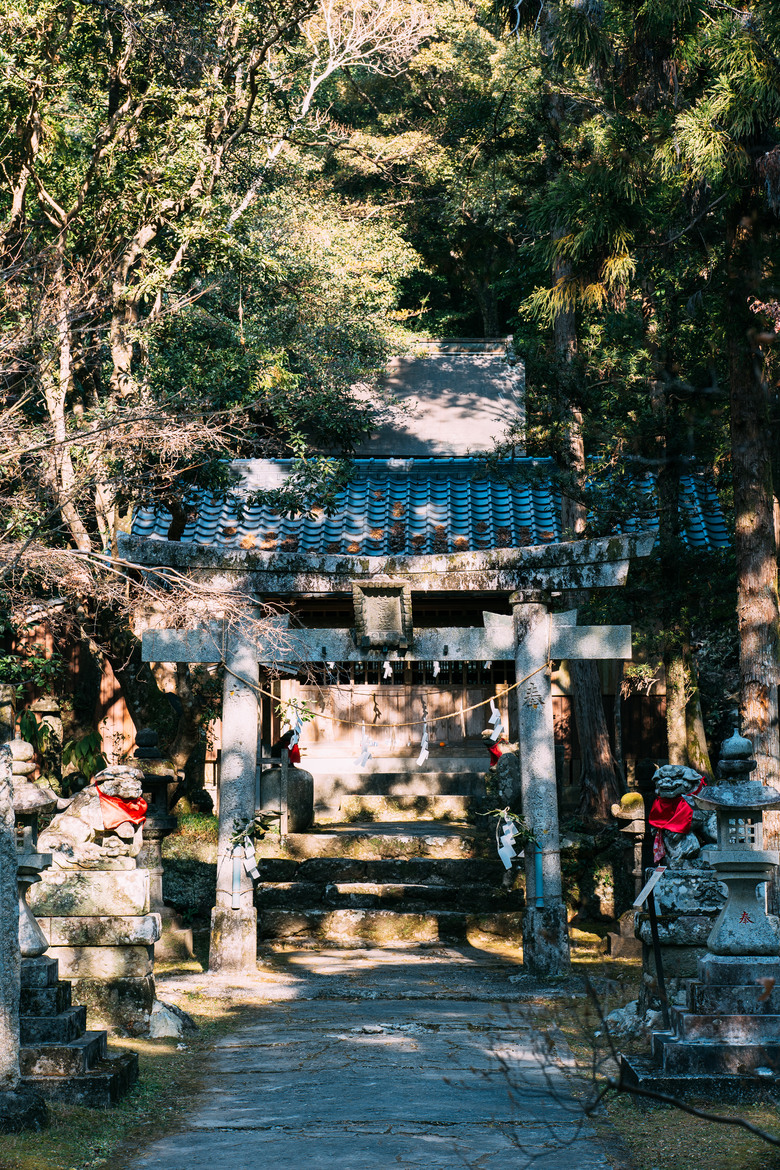 [ NIKON ZF ] 2026 四國冬日之旅 (圖超多)