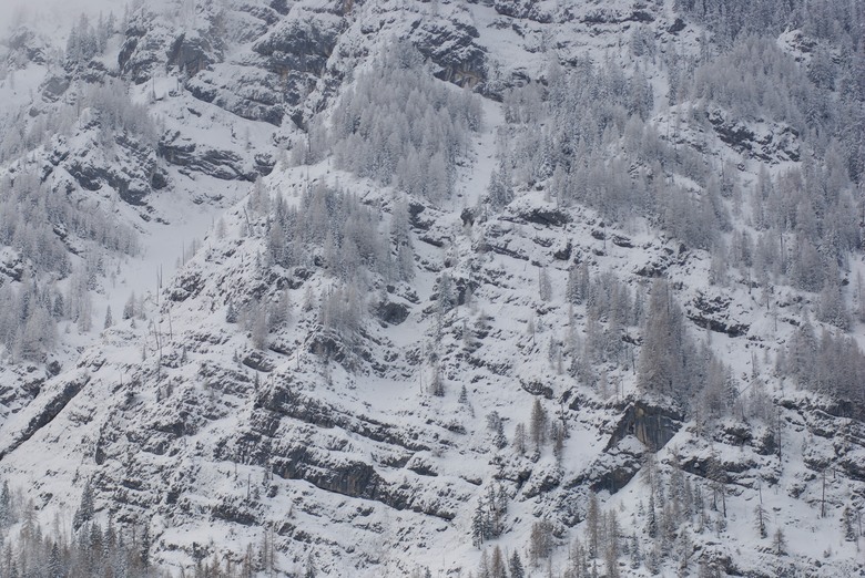 懷念一下Nikon D80 - 德國國王湖冬天之旅