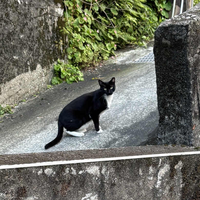 N MAX 155之奇妙的劉銘傳隧道，有點妙的廟