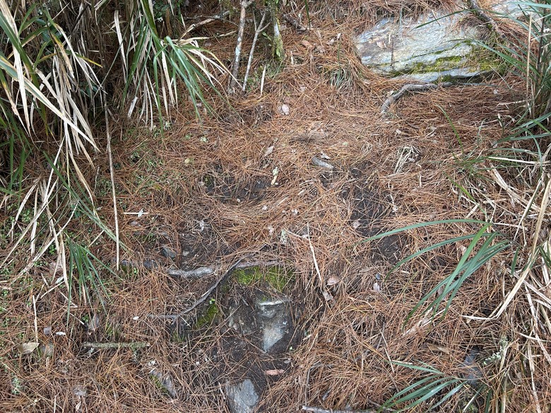 比玉山前峰還難爬的「南橫溪頭山」