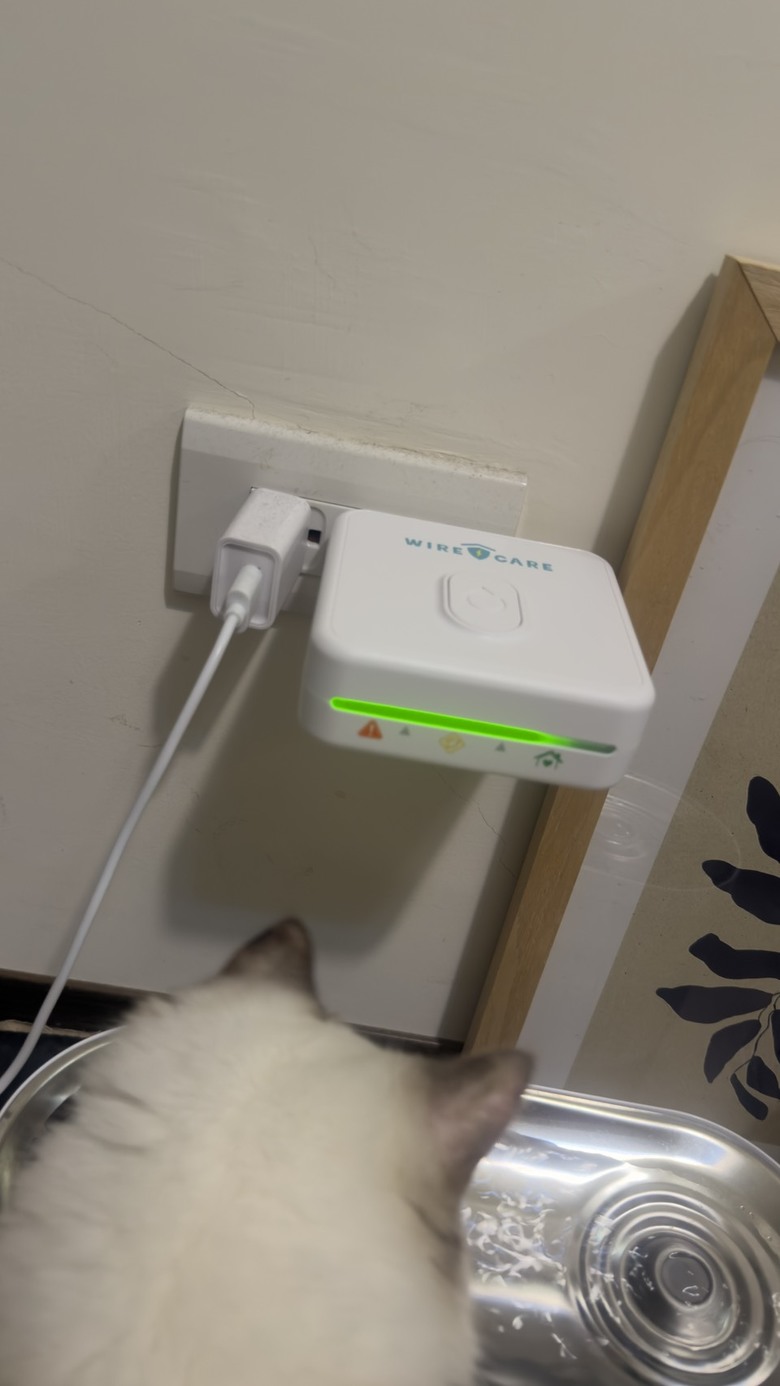不能忽略毛小孩的安全問題