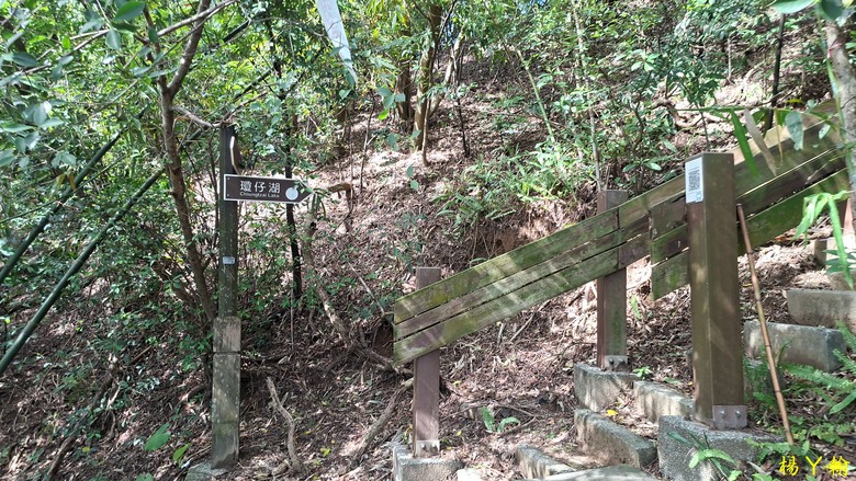 【郊山走走】尖凍山、瓊子湖山、山腳頂山 輕鬆走