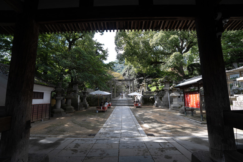 【遊記】2025二週日本遊:中國|四國|關西 - 前篇