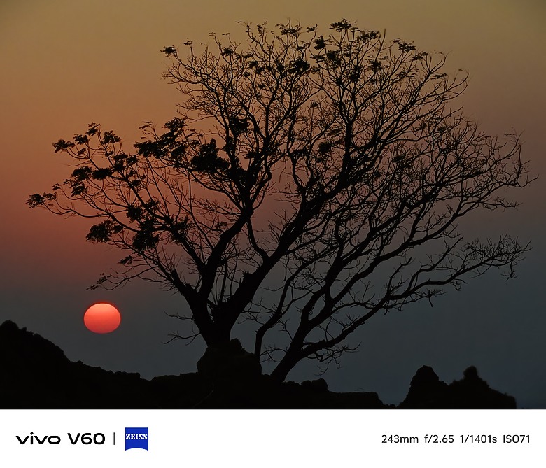 【 VIVO V60 】簡單的使用心得及照片分享