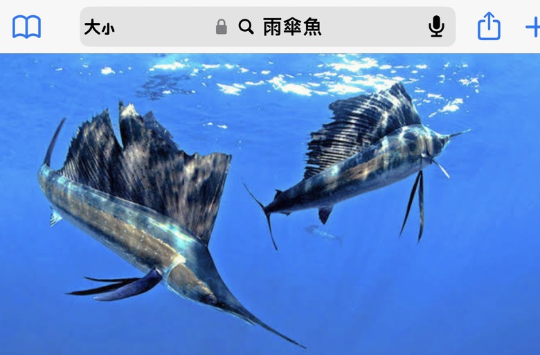 騎 遊 東 港 ( 全 台 首 座 王 船 文 化 館 )