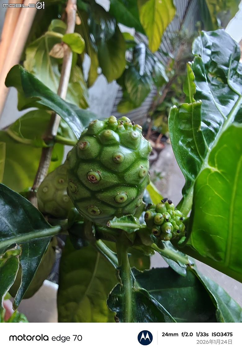 motorola edge 70 體驗｜AI 功能全面，5.99mm 超薄的中階美型之選