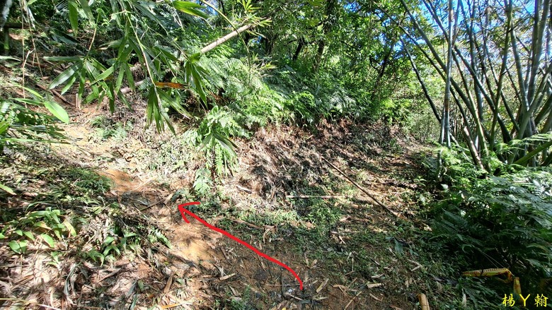 【郊山走走】拱北殿、三秀山、北港山，上山腳滑，下山狼狽