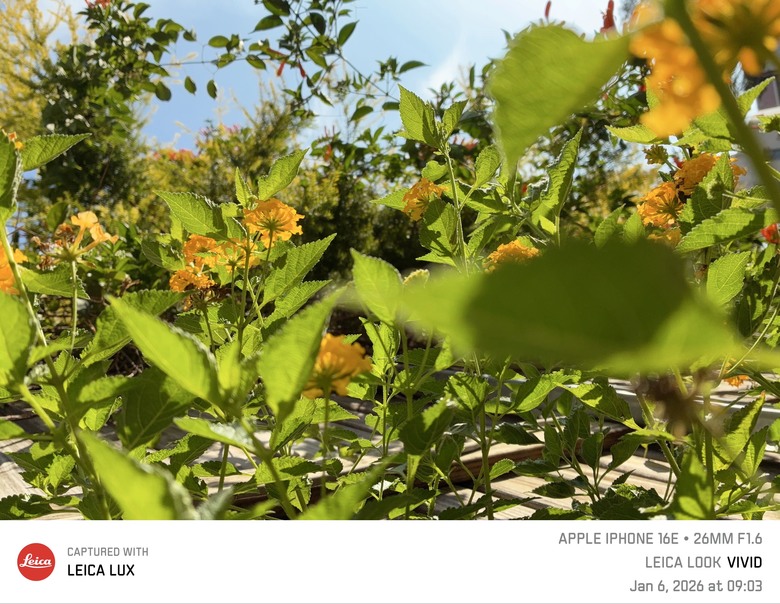 淺嚐徠味 Leica LUX 拍照APP 📷✨