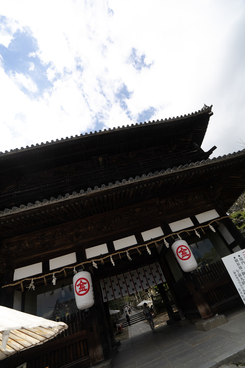 【遊記】2025二週日本遊:中國|四國|關西 - 前篇
