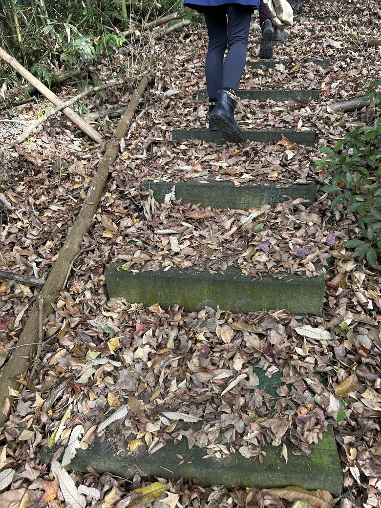 熊佧山、馬都安古道、南勢山北峰、烏嘎彥及鷂婆山一日遊