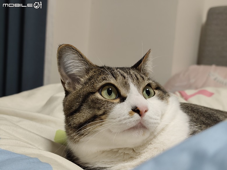 REDMI Note 15 Pro+ 5G 體驗｜續航到位、質感進化的耐用小金剛！