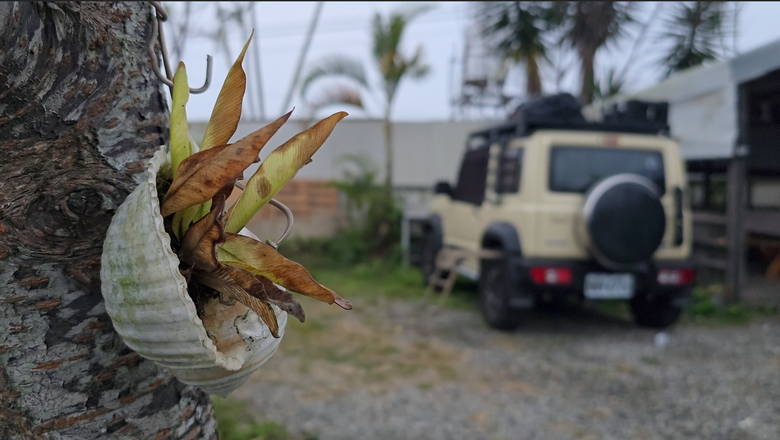 此生必去 羅娜聖誕的感動｜萬人齊聚 用火把點亮星空 #羅娜部落 #聖誕煙火 #報佳音