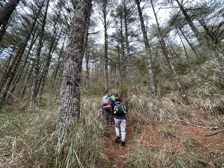 比玉山前峰還難爬的「南橫溪頭山」