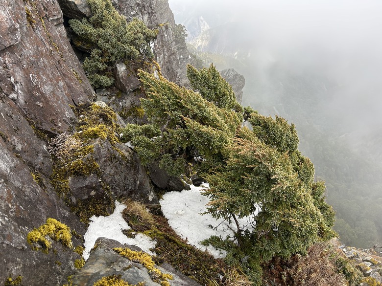 比玉山前峰還難爬的「南橫溪頭山」
