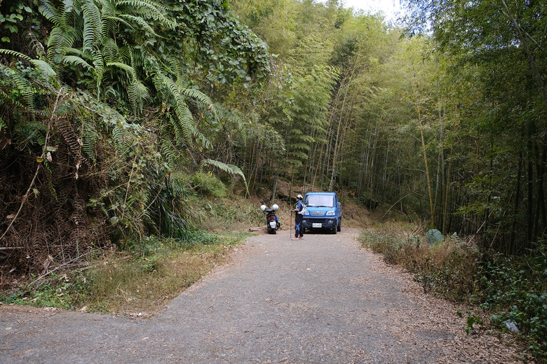 【溪頭四秀 】一條走在滿山竹林裡讓人快活的登山路線 | 溪頭山、竹崙山、志騰山、快活林