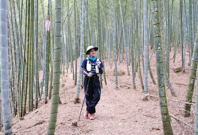 【溪頭四秀 】一條走在滿山竹林裡讓人快活的登山路線 | 溪頭山、竹崙山、志騰山、快活林