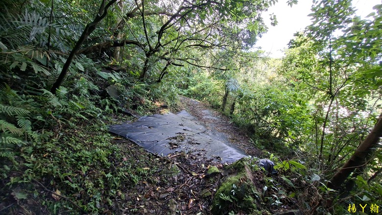 【郊山走走】拱北殿、三秀山、北港山，上山腳滑，下山狼狽