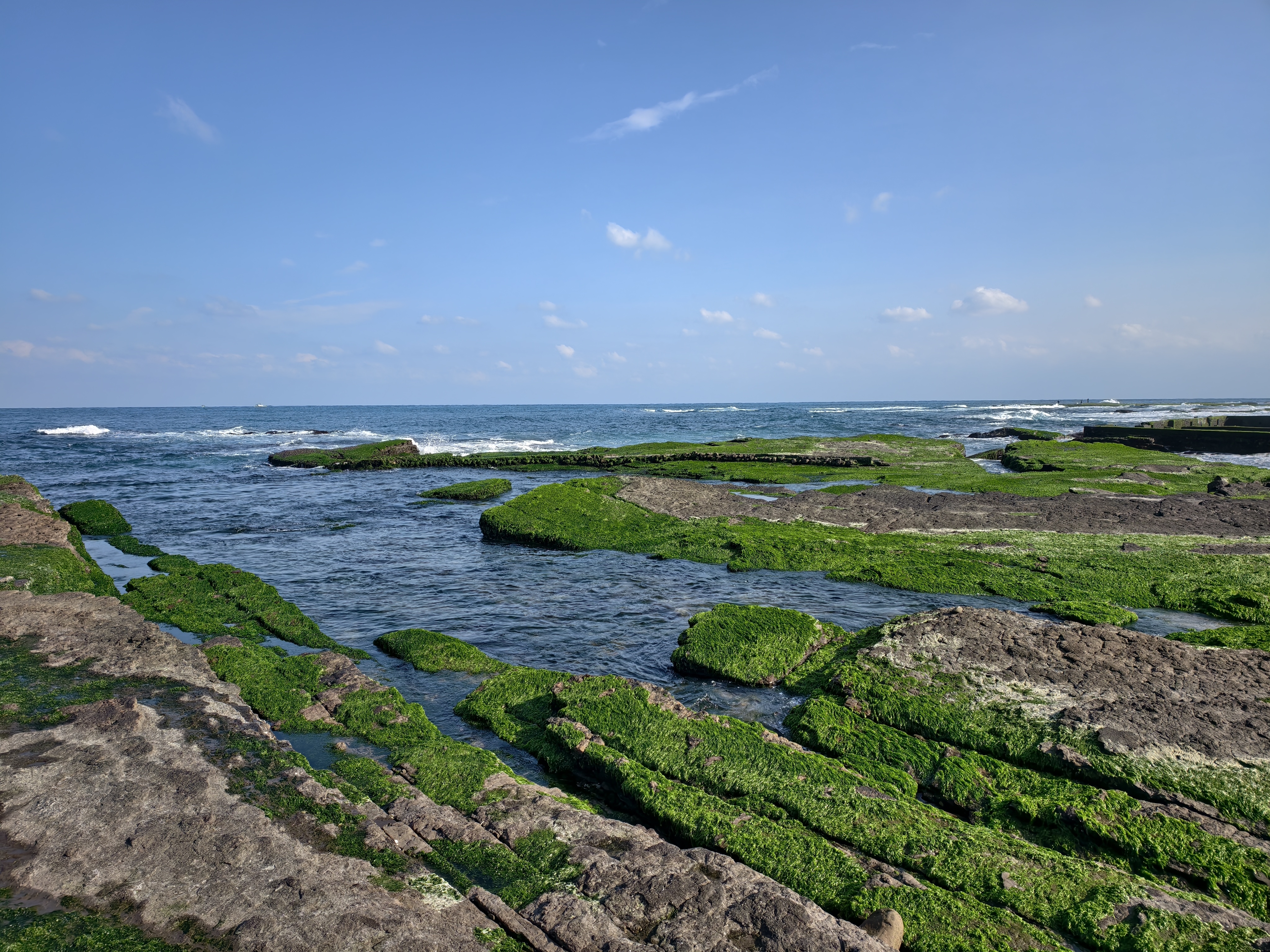 誰會在氣溫 15 度的時候，從台北騎車到馬崗漁港找海兔？（舉手，我）