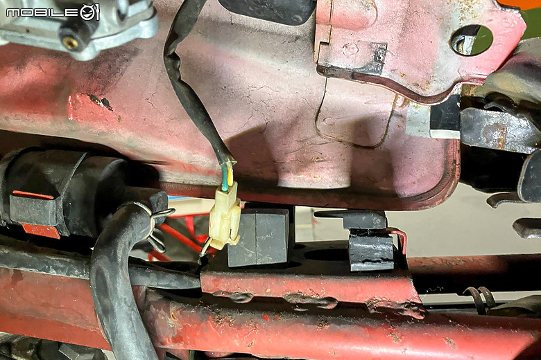 老野狼整新紀錄｜期望再戰十年伴兒同行！