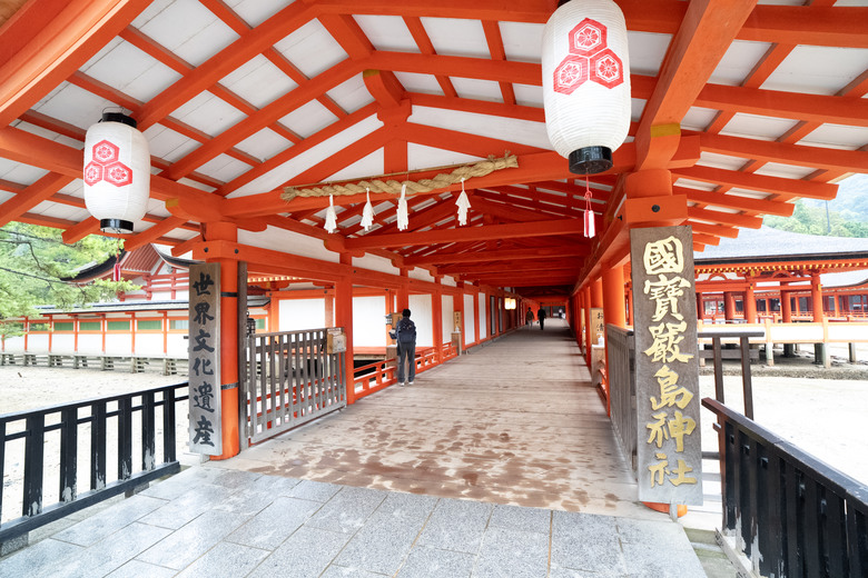 【遊記】2025二週日本遊:中國|四國|關西 - 前篇