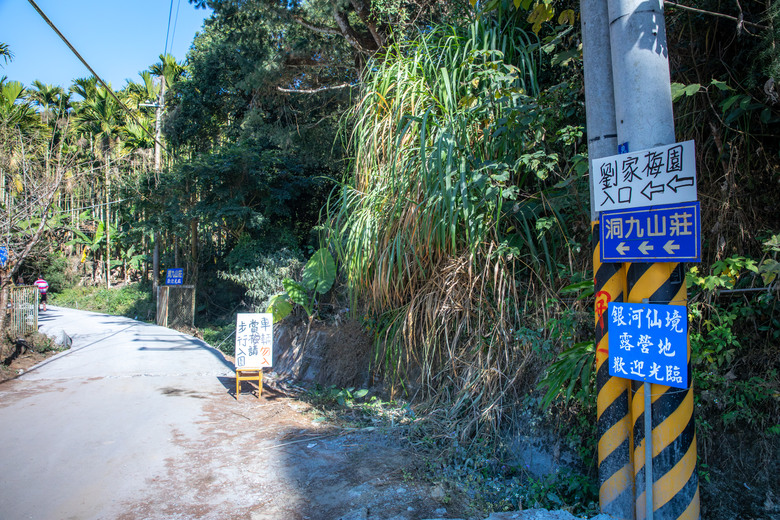 點我看大圖 南投國姓鄉賞梅小旅行|冬末年初最美風景