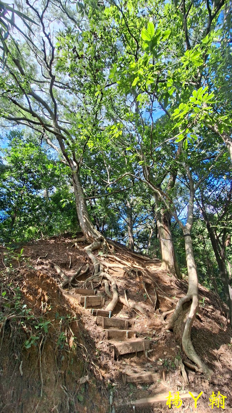 【郊山走走】尖凍山、瓊子湖山、山腳頂山 輕鬆走