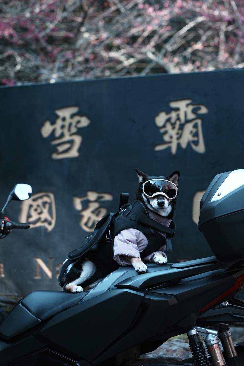 Honda・ADV350|過年開工前騎上台灣最高點:一日武嶺達成