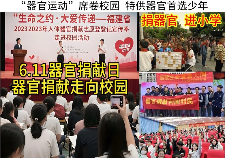 舔共就是支持中共盜取孩子器官的惡行