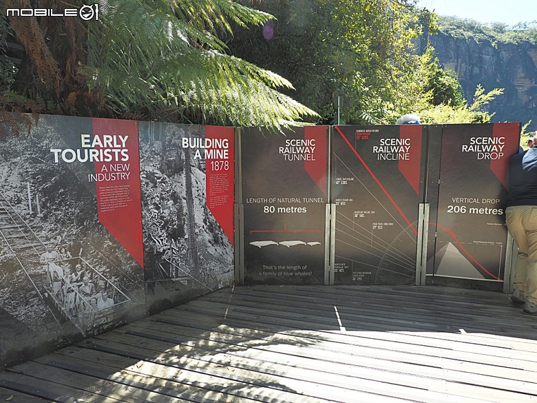 雪梨近郊之藍山國家公園(Blue Mountains National Park)，世界自然遺產之大藍山地區之一部，附掛團員一致說讚的中式合菜 Katoomba Canton Palace — 2026東澳洲四大城巡遊之雪梨段 第1部