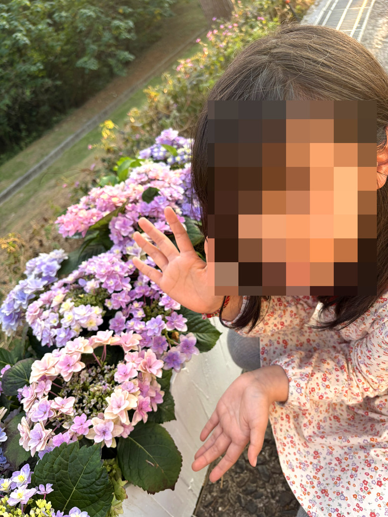 北投三層崎公園 | 春色繽紛的浪漫花海