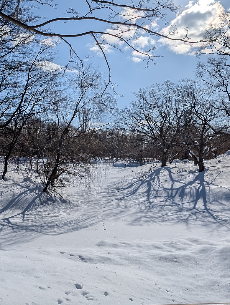 【小惡魔驫到成功】2026_北海道大白_札幌雪祭+函館9日遊
