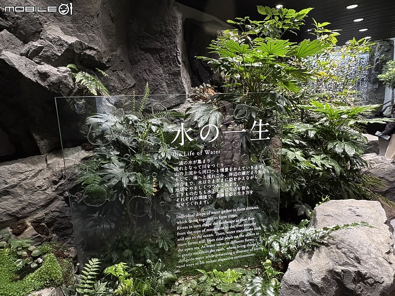 點我看大圖 【小惡魔驫到成功】2026 關西親子旅行 Day8|須磨海洋世界,水花與約會的一天