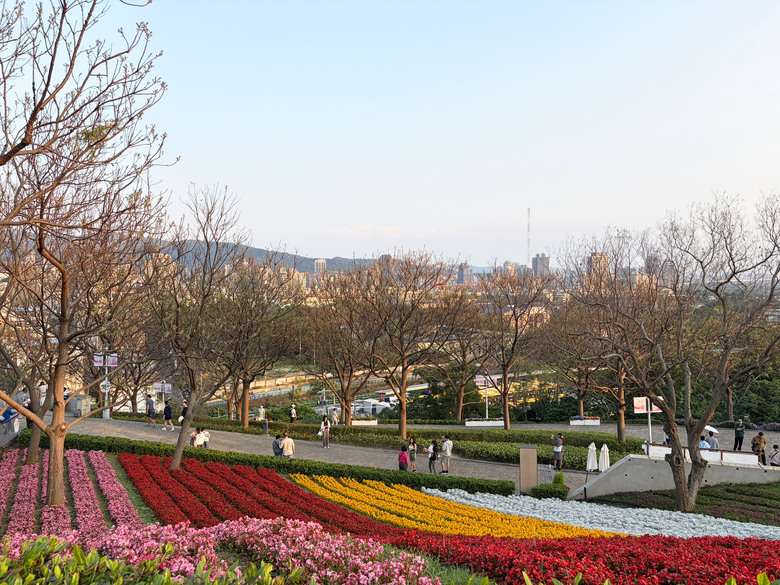 北投三層崎公園 | 春色繽紛的浪漫花海